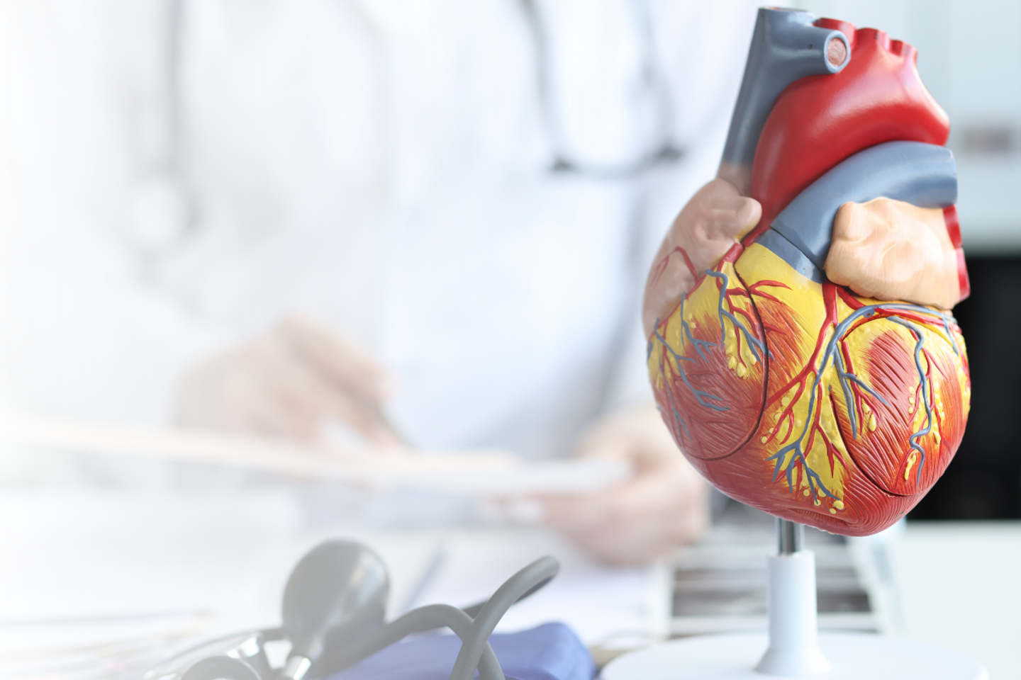 Kardiologie Burglengenfeld - Facharzt-Termine innerhalb von 5 Werktagen